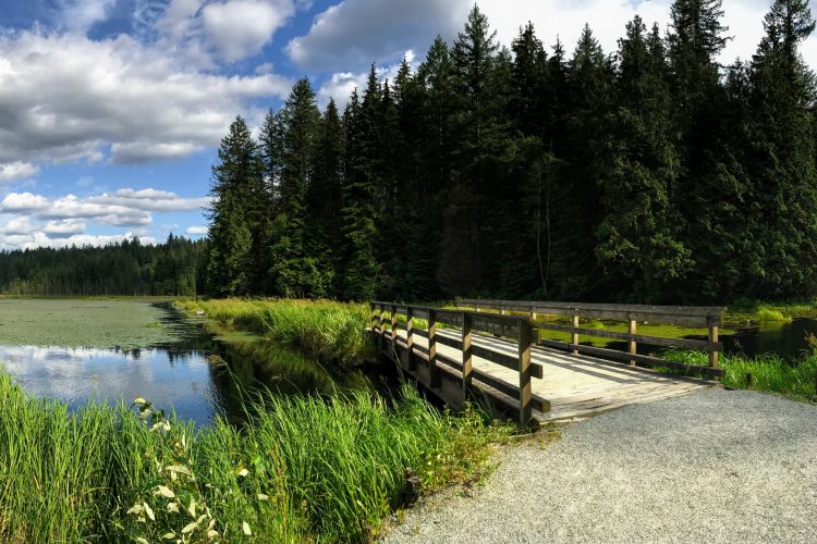 Minnekhada Regional Park, Coquitlam, BC.