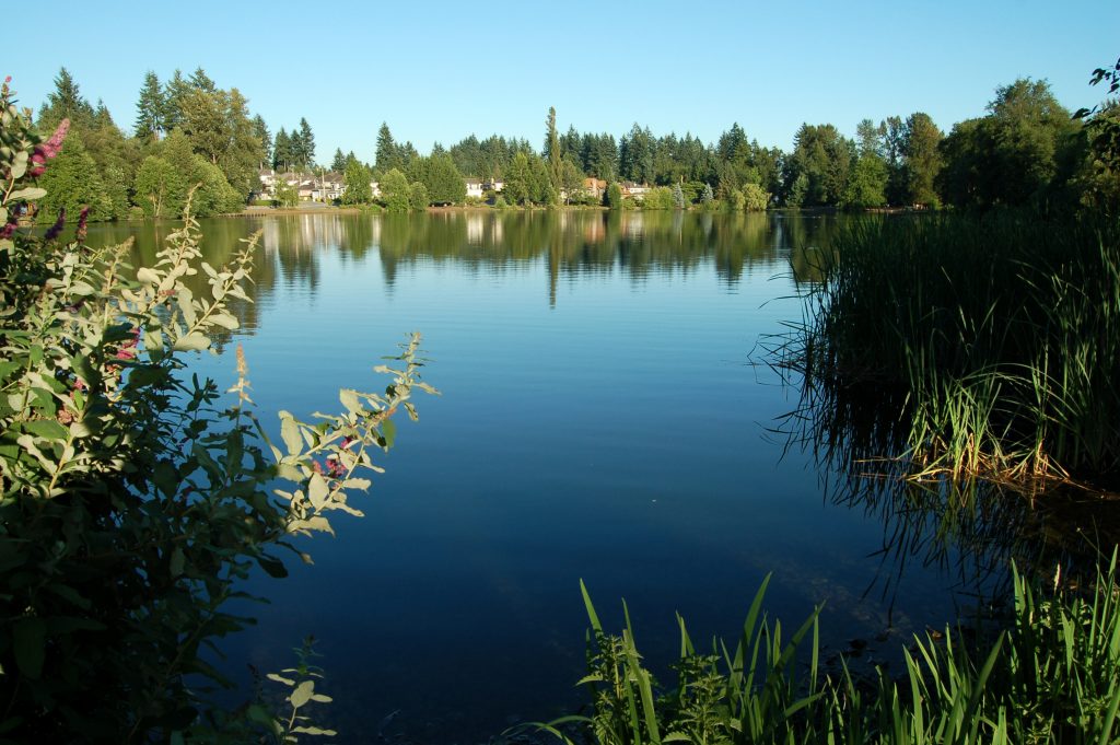 Como Lake in Coquitlam with a view of the lake with houses. 